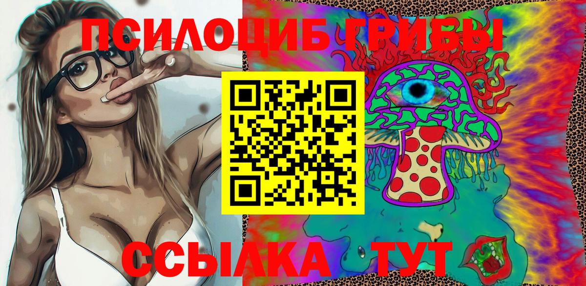 Сергиев Посад  Псилоцибиновые грибы мицелий  Вход с VPN  Псилоцибиновые грибы мухоморы 