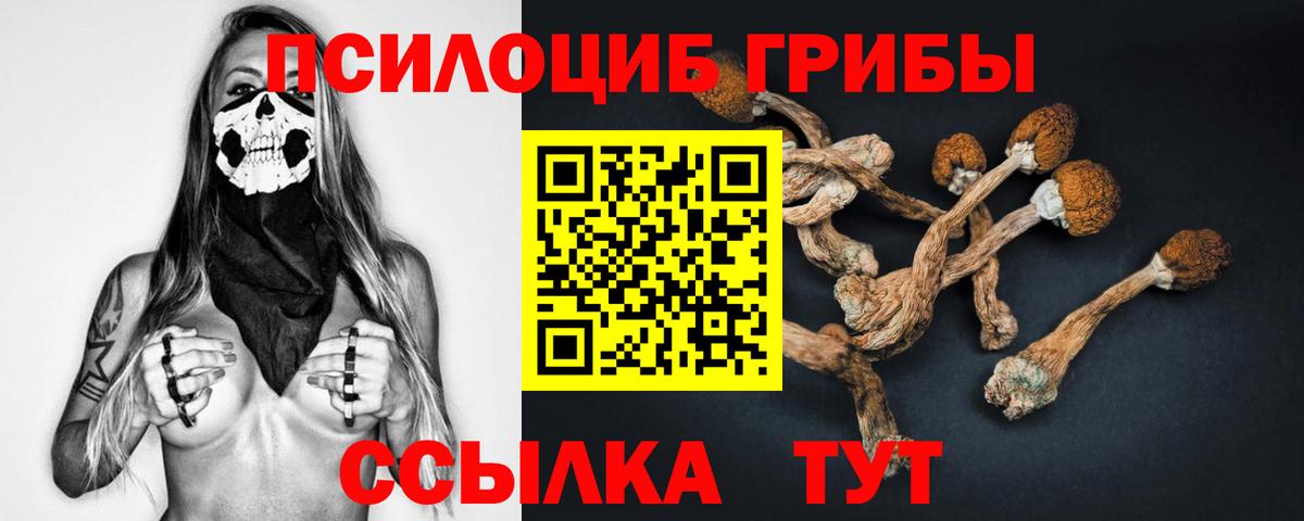 Галлюциногенные грибы мухоморы Сергиев Посад